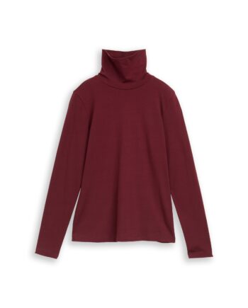 Rollkragenshirt von Tom Tailor